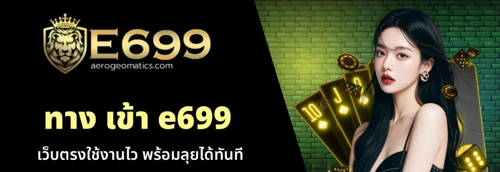 ทาง เข้า e699